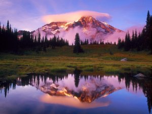 God's Creation