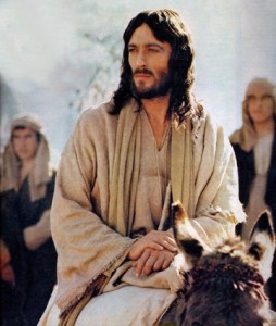 Jesus on a Donkey